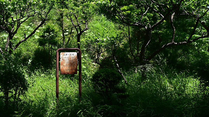 戸塚区の品濃一里塚が県の史跡どまりとなっている理由は?