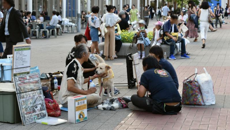 桜木町駅前広場で犬の募金活動をしている団体ってどんな団体?