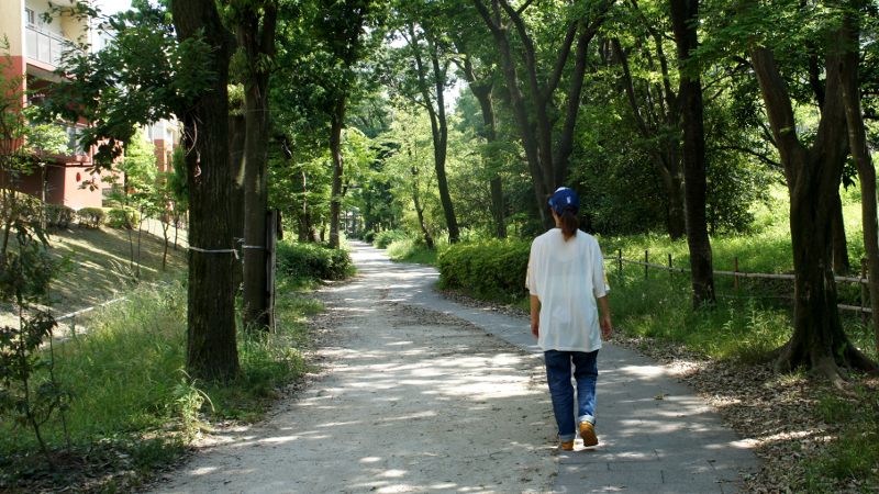 都筑区の港北ニュータウンの公園を結ぶ12.8kmの散歩道を踏破した！