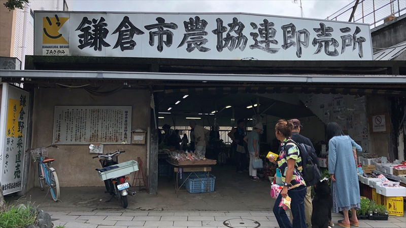 鎌倉市内の野菜直売所「鎌倉農協連即売所(レンバイ)」などを調査!